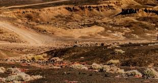 法比奥造乌龙路易斯点射 国安2-2补时绝平申花